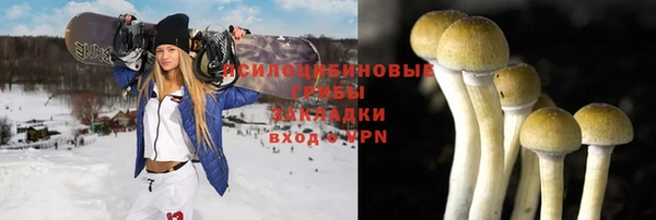 сатива Абаза